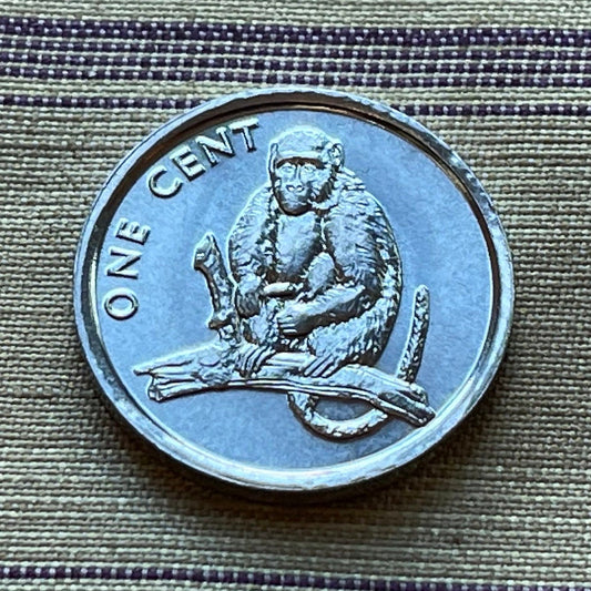 Rhesus Macaque 1 Cent Cook Islands Authentic Coin Money for Jewelry and Craft Making (Monkey)