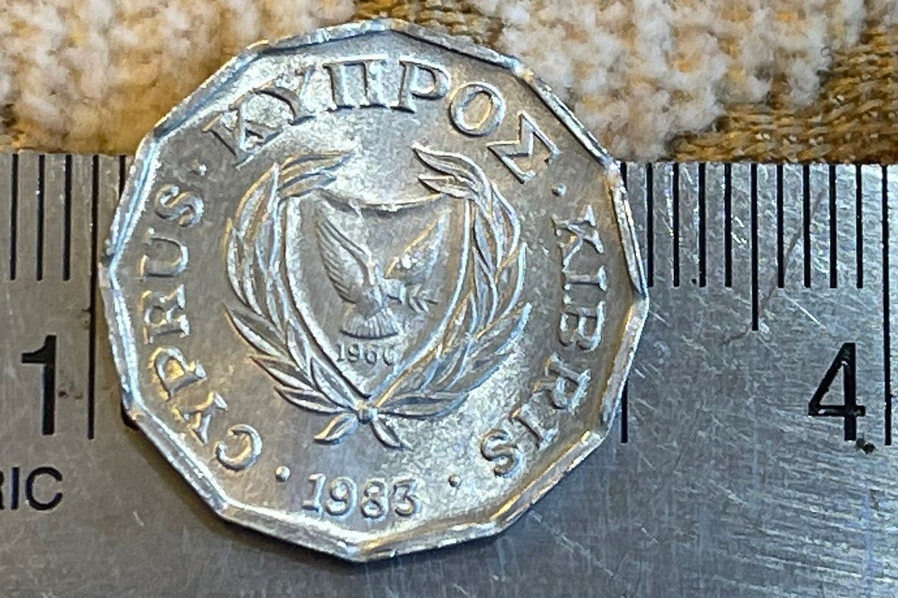 Cyclamen & Dove with Olive 1/2 Cent Cyprus Authentic Coin Money for Jewelry and Craft Making (Dodecahedron) (1983)