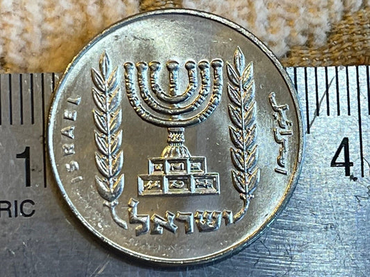 Menorah and Olive Branches 1/2 Lira Israel Authentic Coin Money for Jewelry and Craft Making