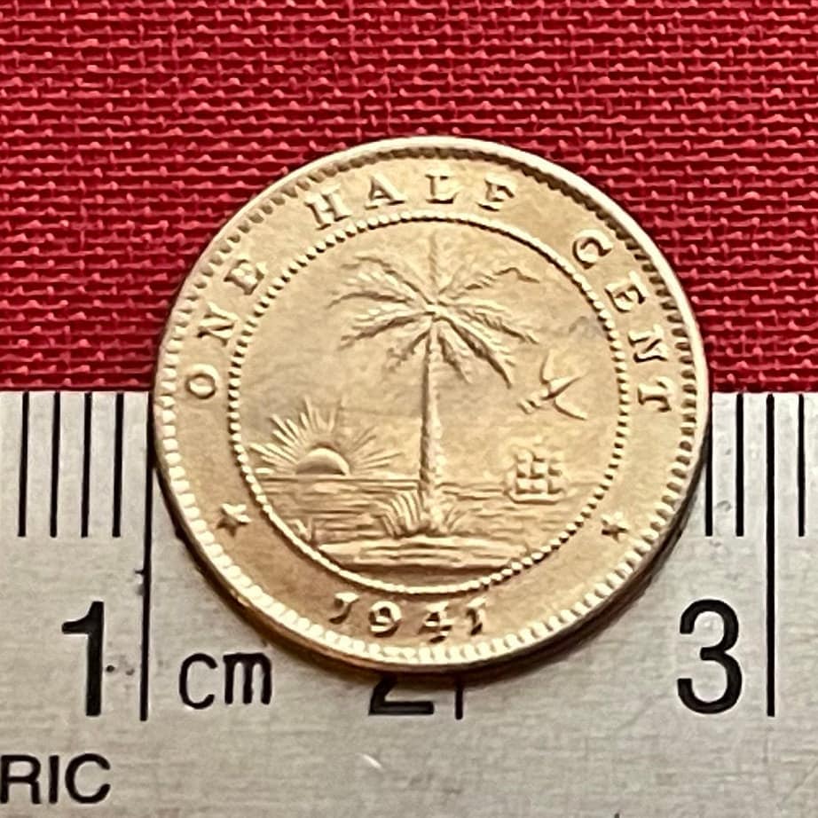 Forest Elephant & Palm Tree at Beach 1/2 Cent Liberia Authentic Coin Money for Jewelry and Craft Making (1941) (Freedom)