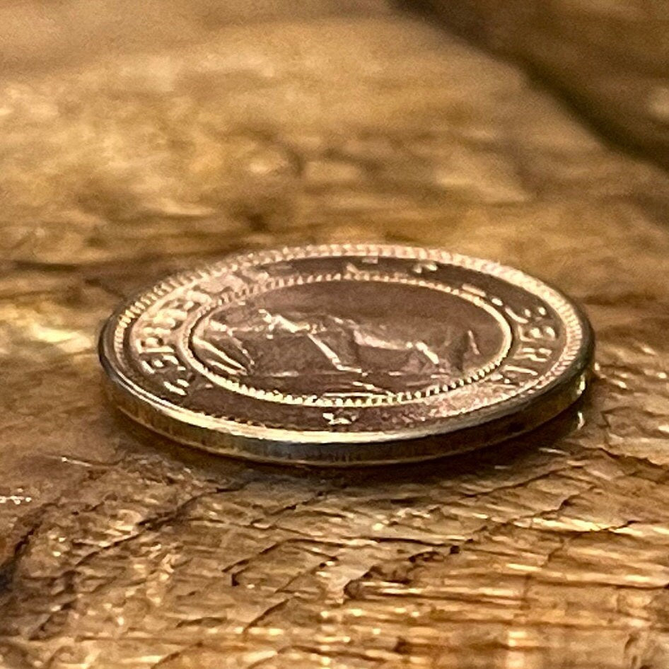 Forest Elephant & Palm Tree at Beach 1/2 Cent Liberia Authentic Coin Money for Jewelry and Craft Making (1941) (Freedom)