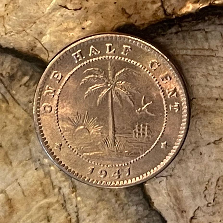 Forest Elephant & Palm Tree at Beach 1/2 Cent Liberia Authentic Coin Money for Jewelry and Craft Making (1941) (Freedom)