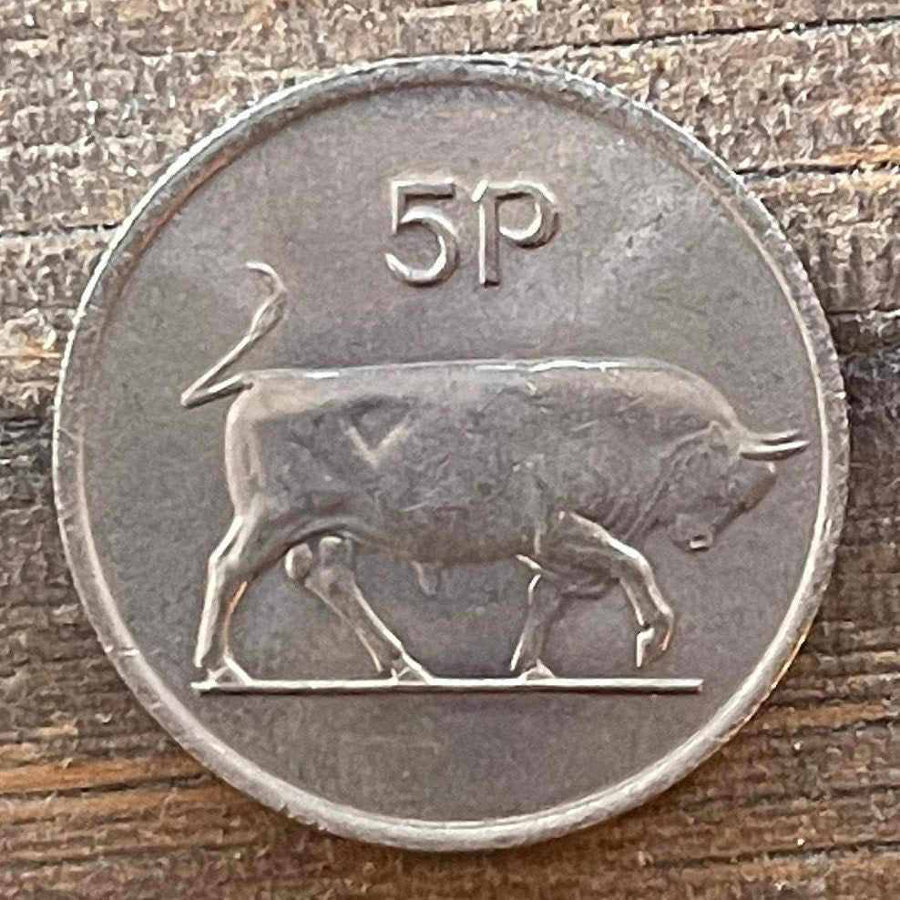 Brown Bull of Cooley & Harp 5 Pence Ireland Authentic Coin Money for Jewelry (Taurus) (Irish Bull) (Táin Bó Cúailnge) Cattle Raid of Cooley