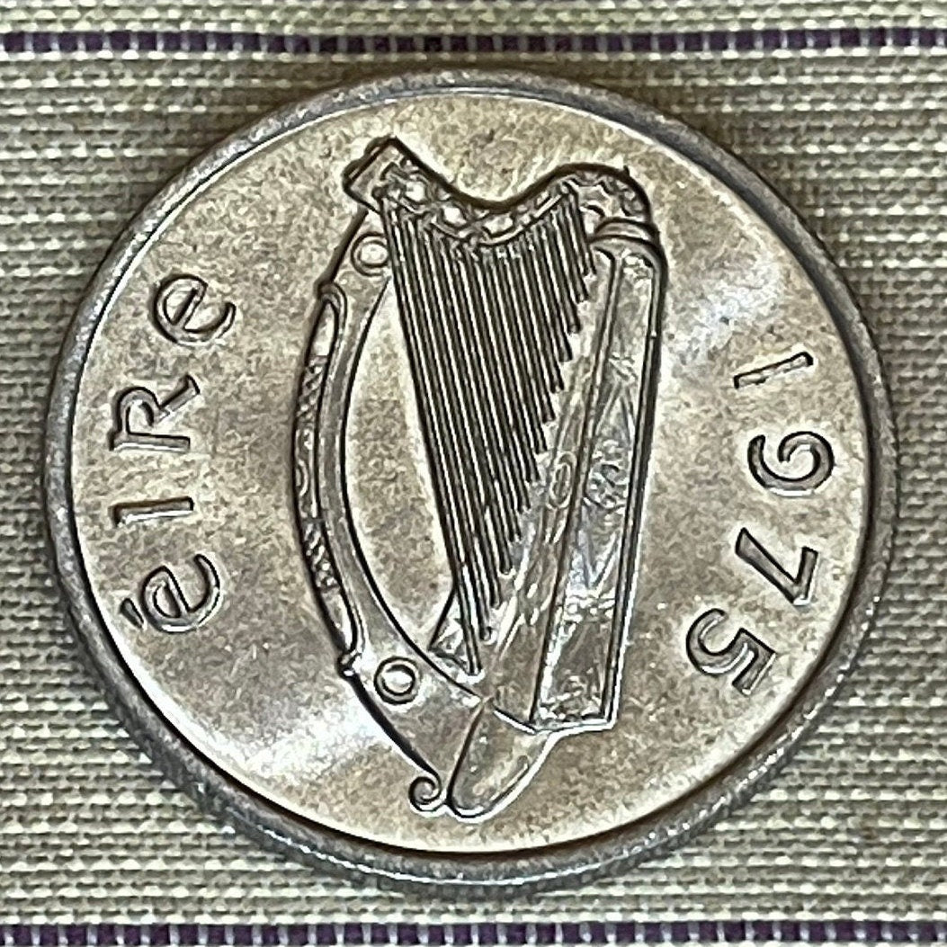 Brown Bull of Cooley & Harp 5 Pence Ireland Authentic Coin Money for Jewelry (Taurus) (Irish Bull) (Táin Bó Cúailnge) Cattle Raid of Cooley