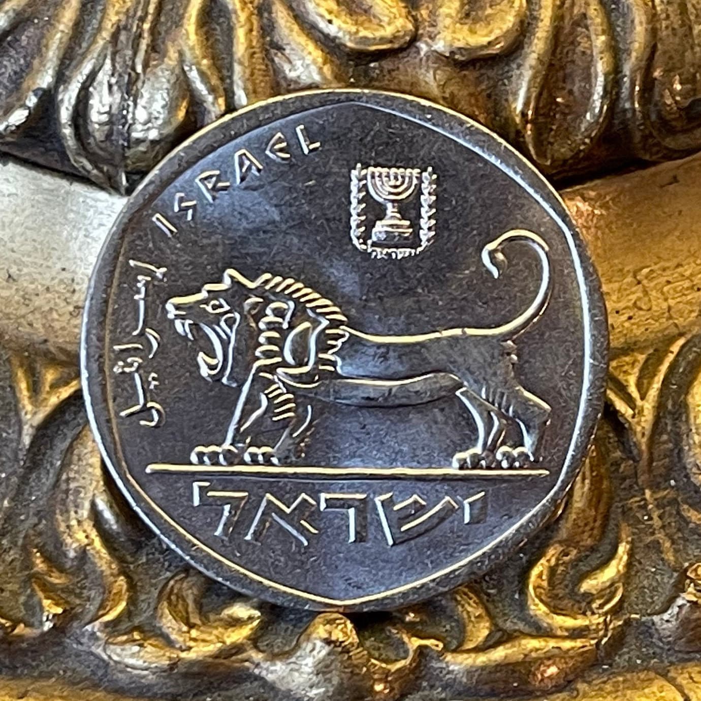 Seal of Shema Lion & Menorah 5 Lirot Israel Authentic Coin Money for Jewelry and Craft Making