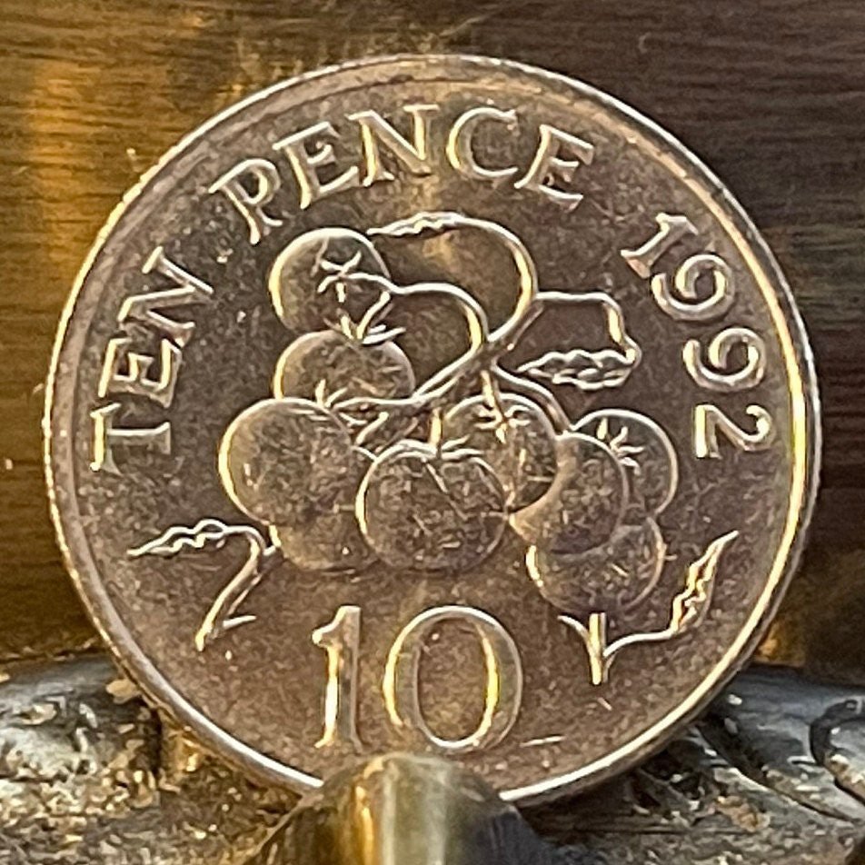 Tomatoes on Vine 10 Pence Guernsey Authentic Coin Money for Jewelry and Craft Making