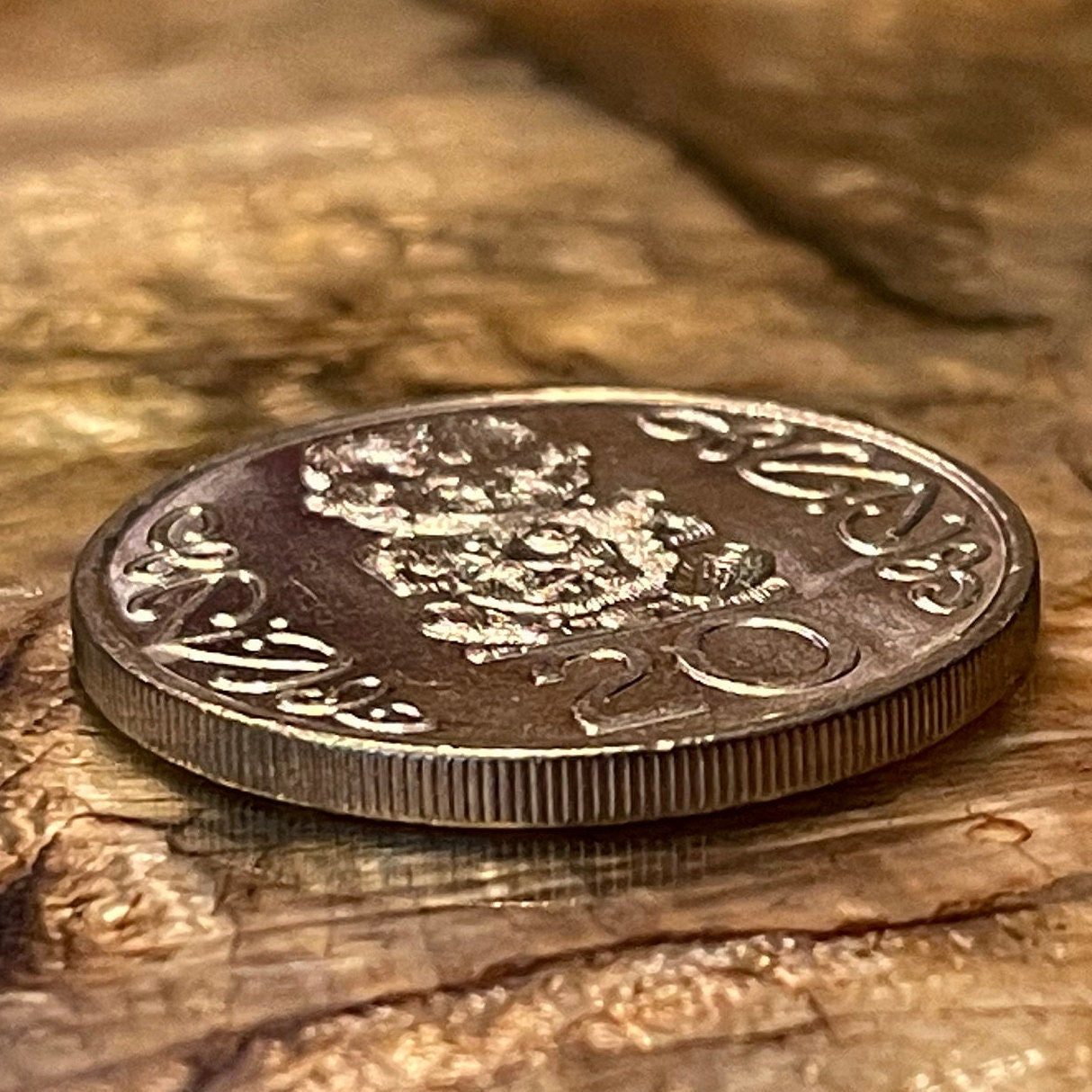 Chief Pūkākī and Two Sons 20 Cents New Zealand Authentic Coin Money for Jewelry and Craft Making (Maori Woodcarving) (Te Arawa)