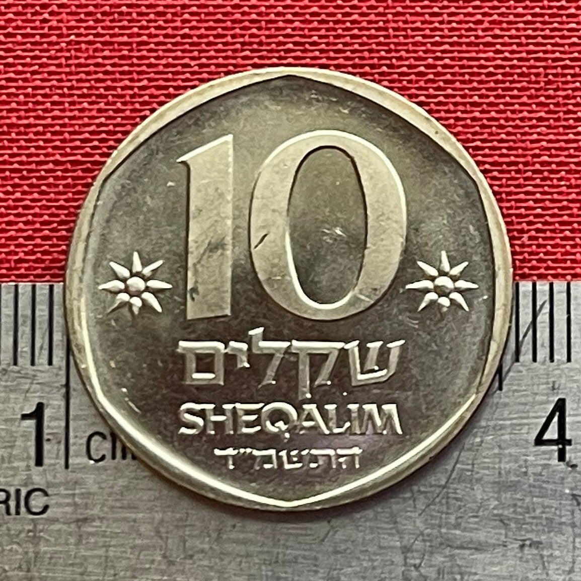 Theodor Herzl 10 Shequalim Israel Authentic Coin Money for Jewelry and Craft Making (Father of Israel) (Zionism) 1984