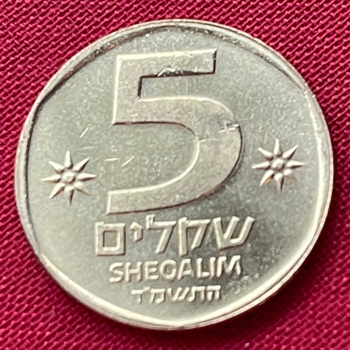 Cornucopia 5 Sheqalim Israel Authentic Coin Money for Jewelry and Craft Making (Double Cornucopia)