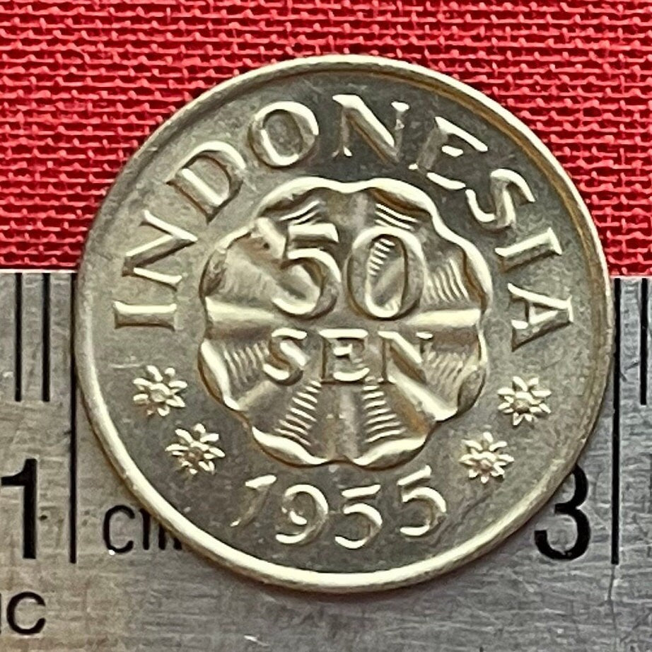 Prince Dipanegara 50 Sen Authentic Coin Money for Jewelry and Craft Making (Diponegoro)