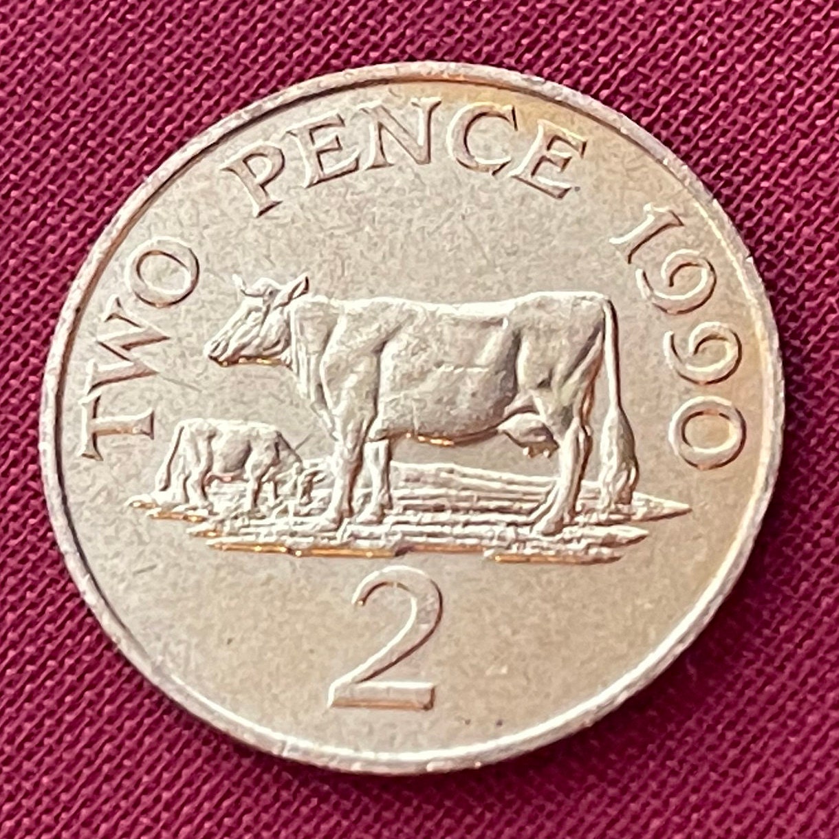 Guernsey Cows 2 Pence Bailiwick of Guernsey Authentic Coin Money for Jewelry and Craft Making