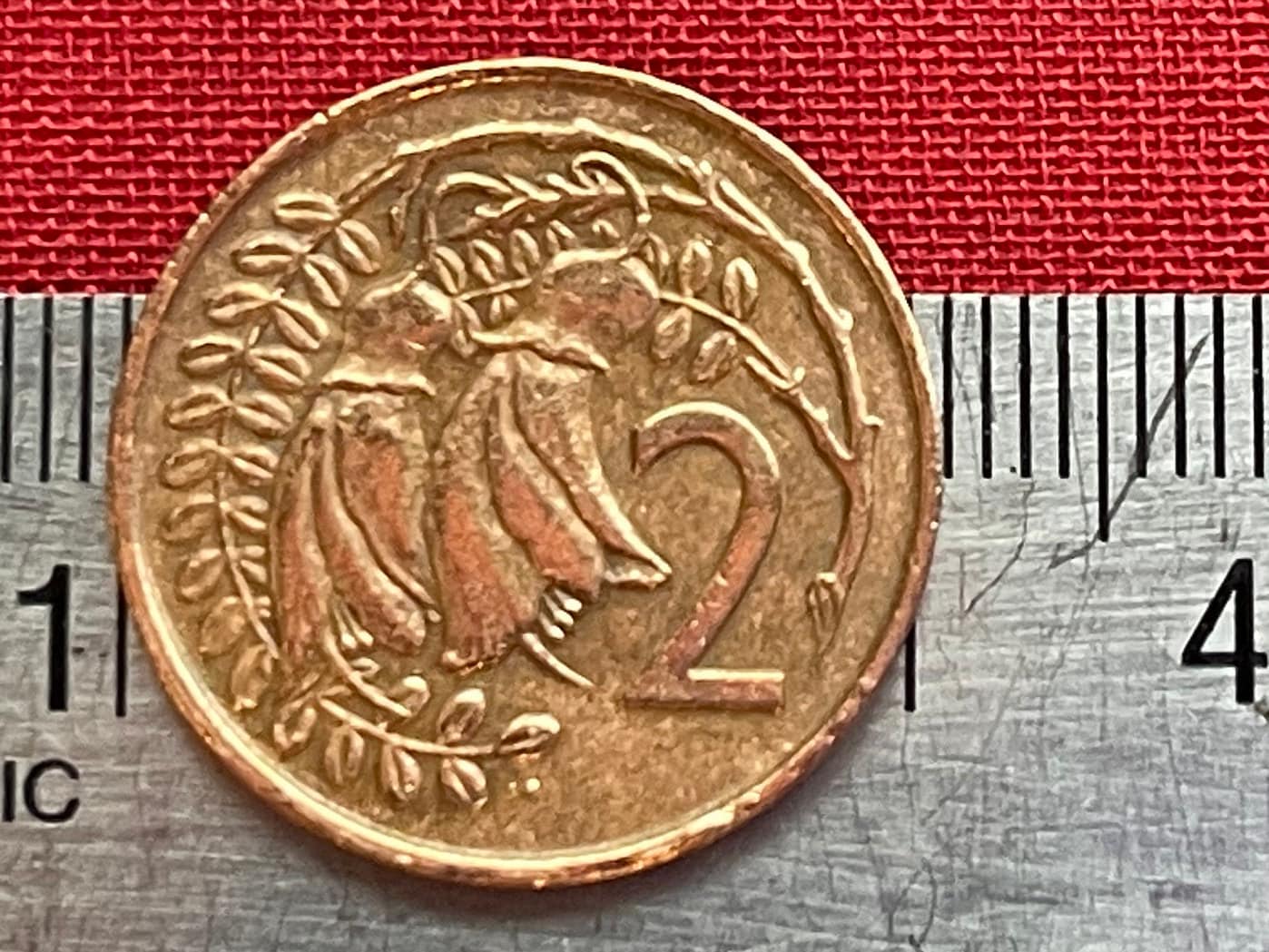 Kowhai Flowers 2 Cents New Zealand Authentic Coin Money for Jewelry and Craft Making
