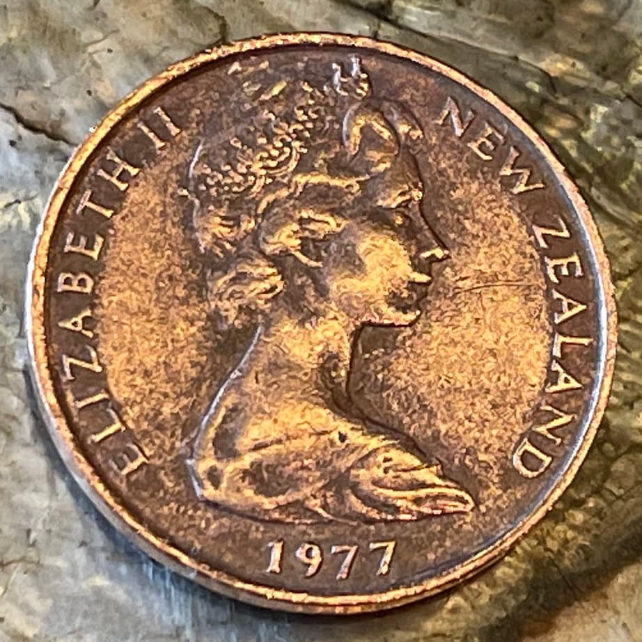 Kowhai Flowers 2 Cents New Zealand Authentic Coin Money for Jewelry and Craft Making