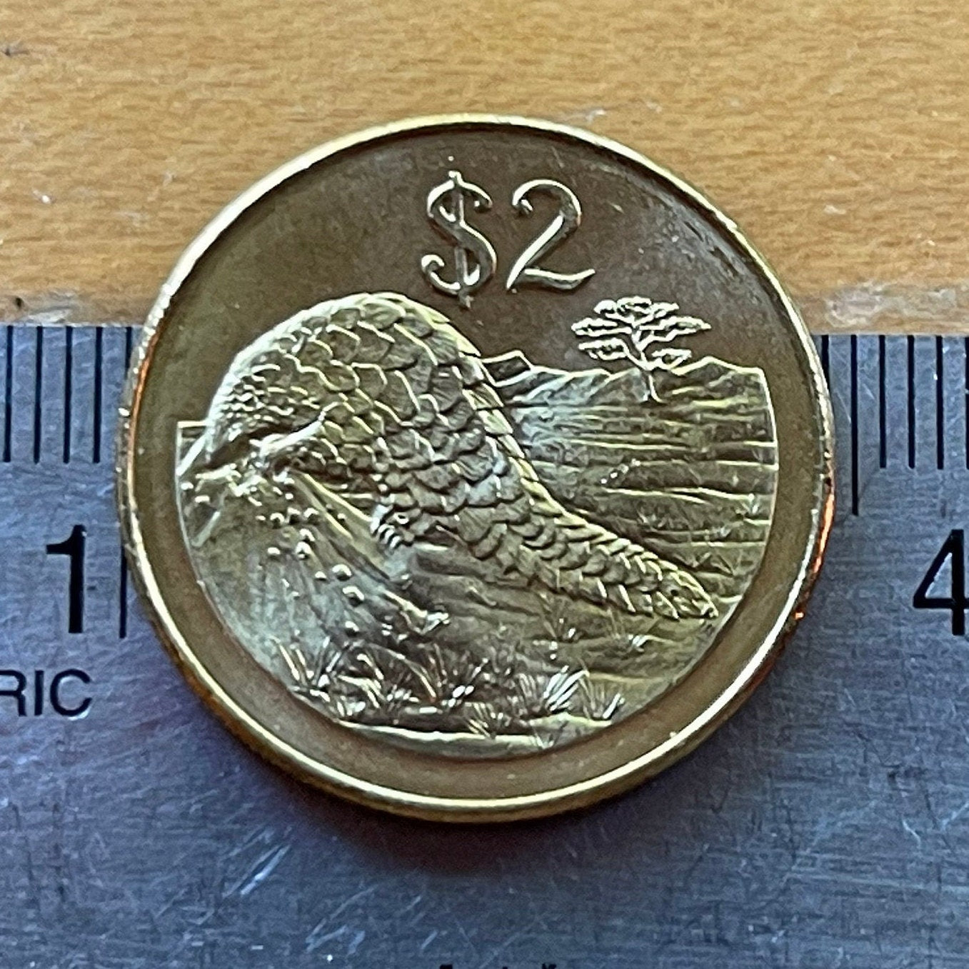 Pangolin 2 Dollars Zimbabwe Authentic Coin Money for Jewelry and Craft Making (Scaly Anteater) (Chinese Folk Medicine) (Lactation)