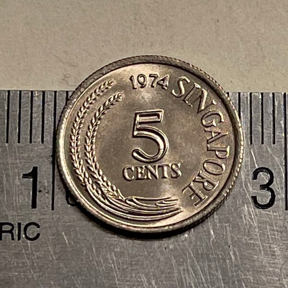 Snakebird Oriental Darter 5 Cents Singapore Authentic Coin Money for Jewelry and Craft Making