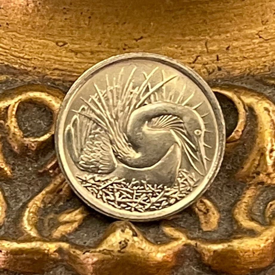 Snakebird Oriental Darter 5 Cents Singapore Authentic Coin Money for Jewelry and Craft Making