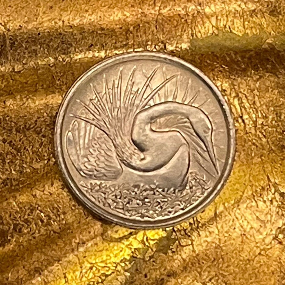 Snakebird Oriental Darter 5 Cents Singapore Authentic Coin Money for Jewelry and Craft Making