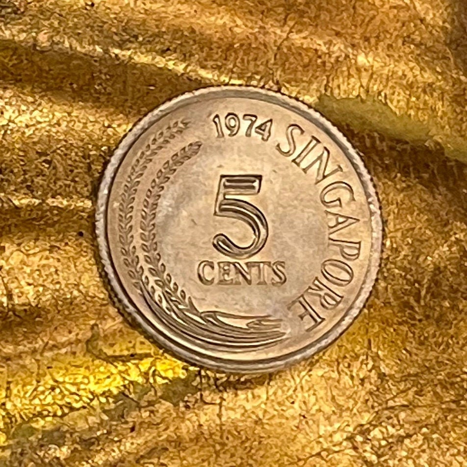 Snakebird Oriental Darter 5 Cents Singapore Authentic Coin Money for Jewelry and Craft Making