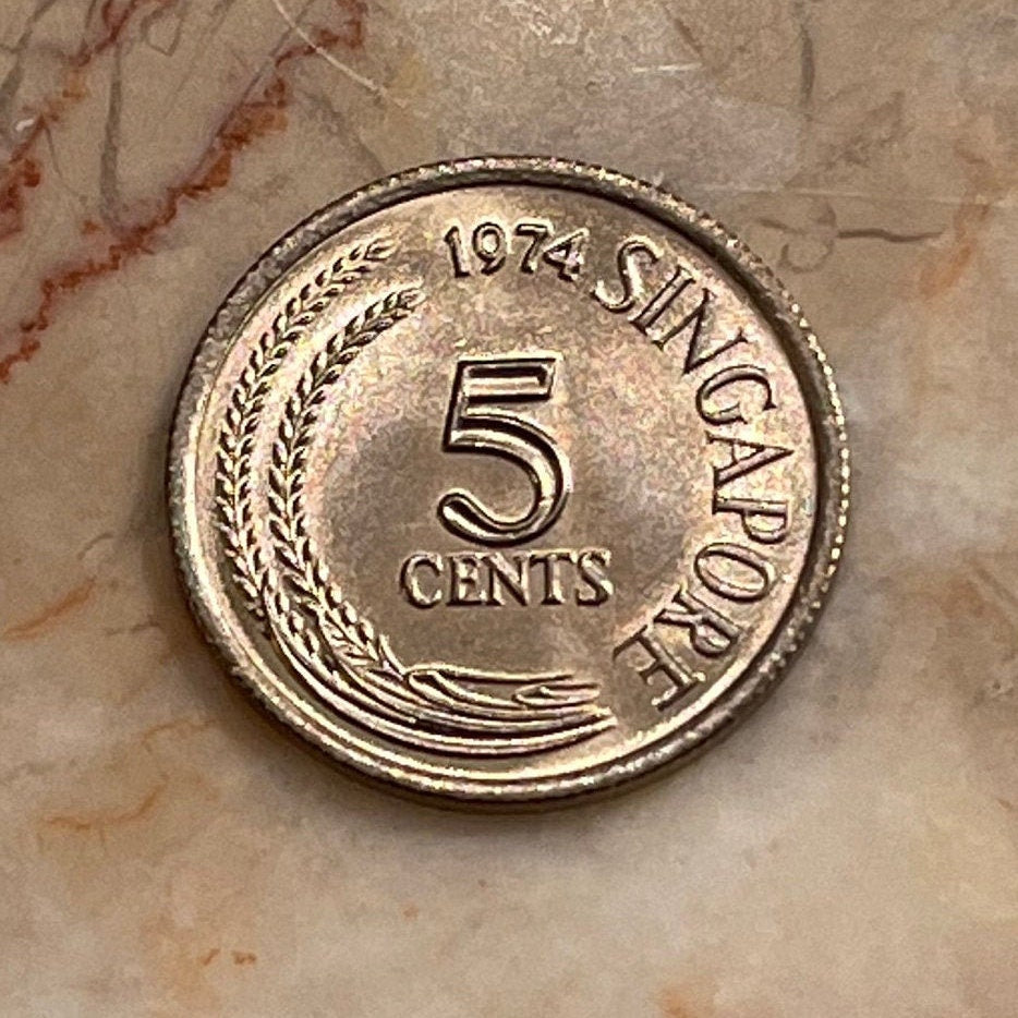 Snakebird Oriental Darter 5 Cents Singapore Authentic Coin Money for Jewelry and Craft Making