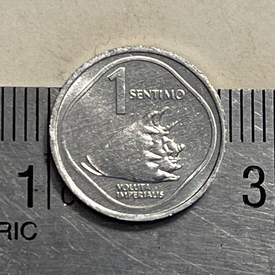 Imperial Volute Shell & Lapulapu 1 Sentimo Philippines Authentic Coin Money for Jewelry and Craft Making (Giant Seashell) (Freedom Fighter)
