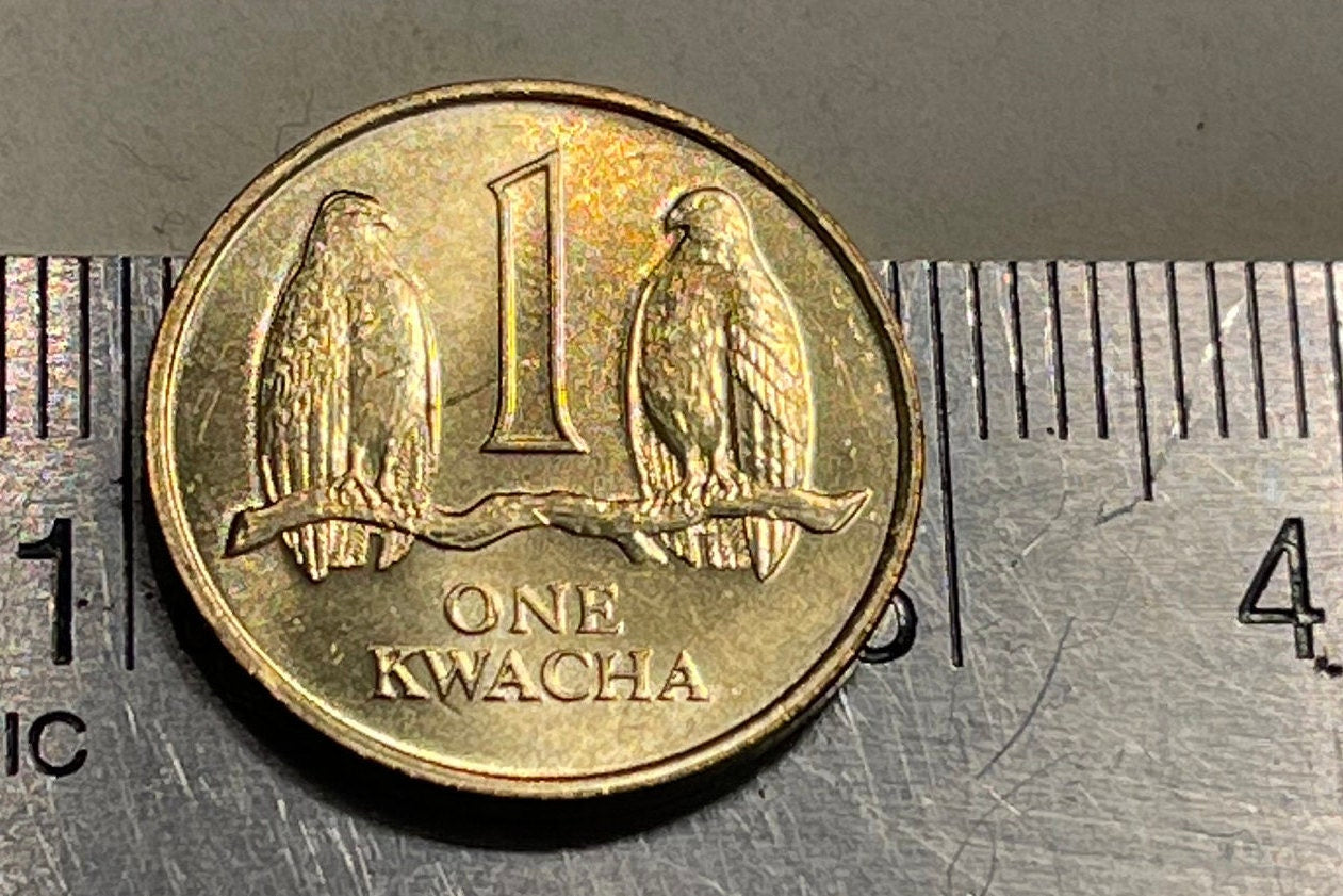 Taita Falcons 1 Kwacha Zambia Authentic Coin Money for Jewelry and Craft Making (1992)