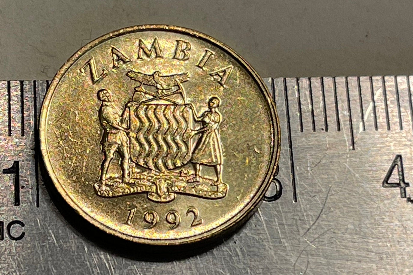 Taita Falcons 1 Kwacha Zambia Authentic Coin Money for Jewelry and Craft Making (1992)