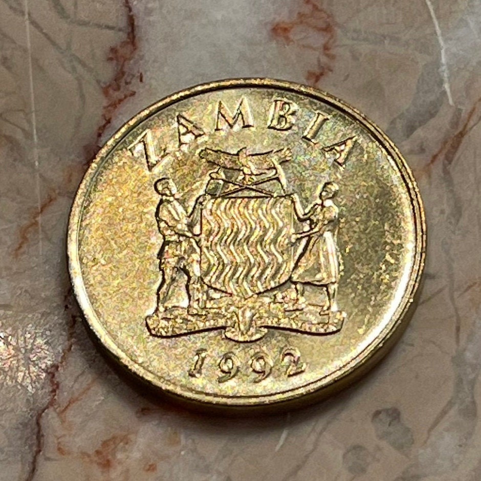 Taita Falcons 1 Kwacha Zambia Authentic Coin Money for Jewelry and Craft Making (1992)