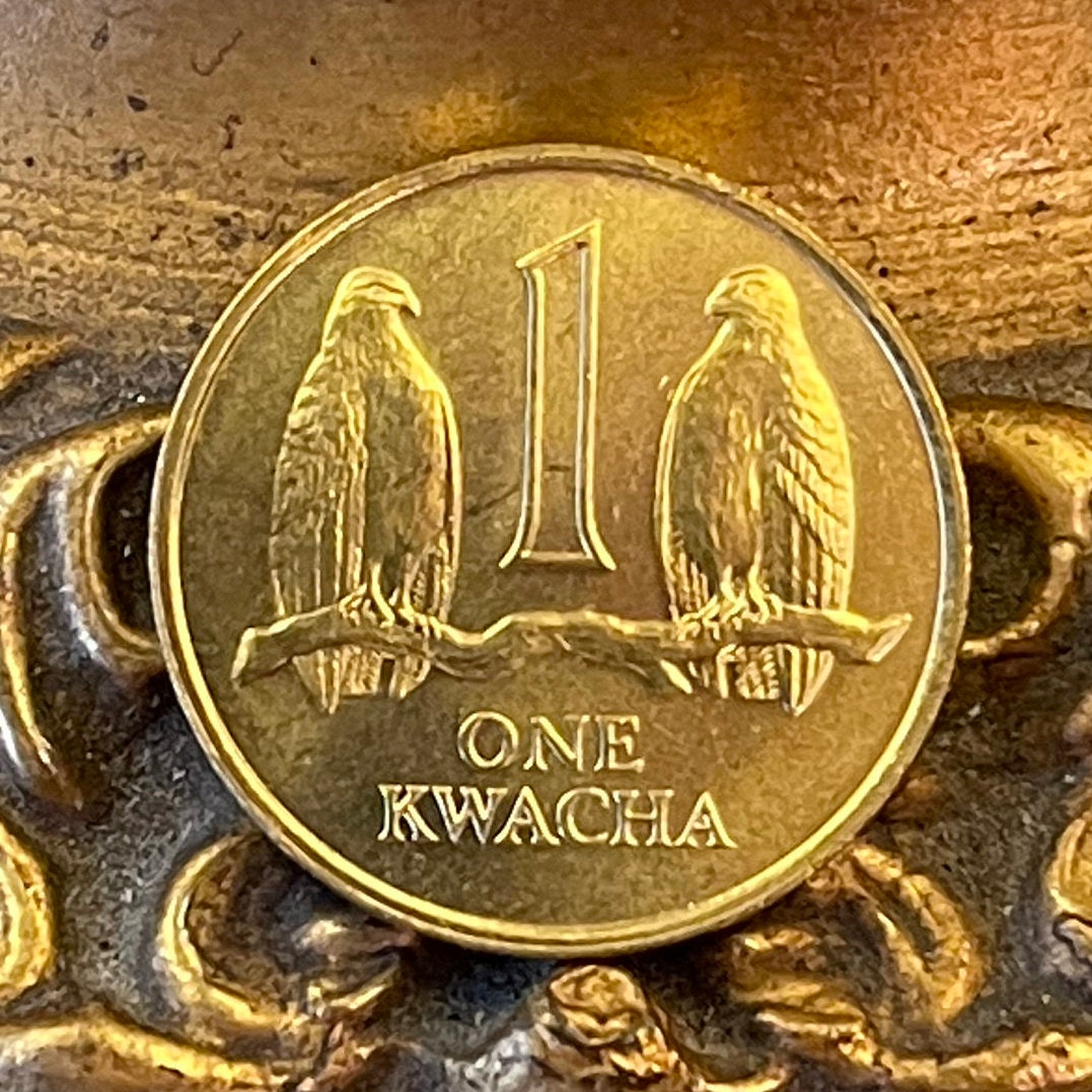 Taita Falcons 1 Kwacha Zambia Authentic Coin Money for Jewelry and Craft Making (1992)