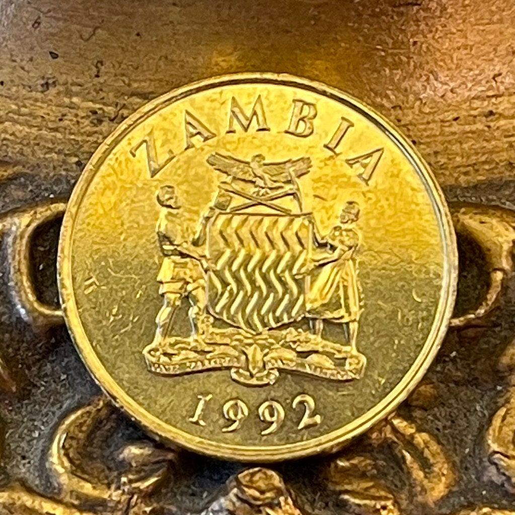 Taita Falcons 1 Kwacha Zambia Authentic Coin Money for Jewelry and Craft Making (1992)