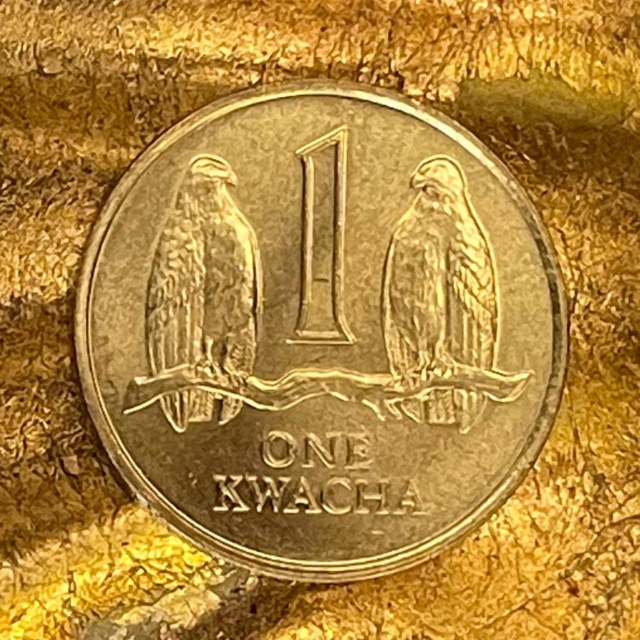 Taita Falcons 1 Kwacha Zambia Authentic Coin Money for Jewelry and Craft Making (1992)