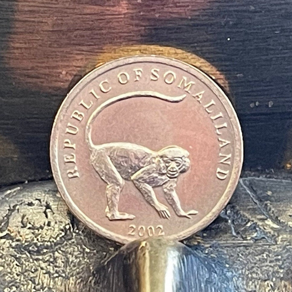 Vervet Monkey 10 Shillings Somaliland Authentic Coin Money for Jewelry and Craft Making (2002)