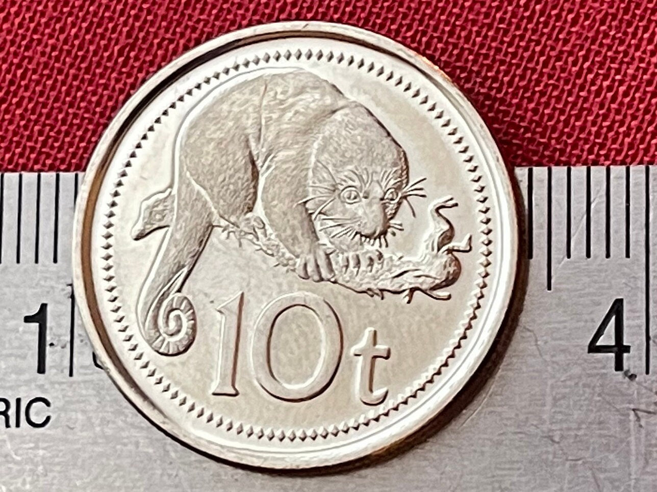 Common Spotted Cuscus & Bird of Paradise 10 Toea Papua New Guinea Authentic Coin Money for Jewelry and Craft Making