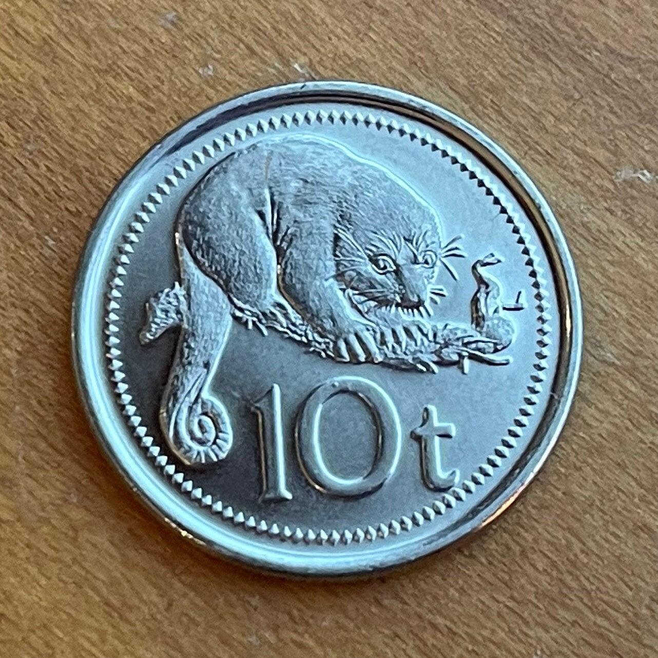 Common Spotted Cuscus & Bird of Paradise 10 Toea Papua New Guinea Authentic Coin Money for Jewelry and Craft Making