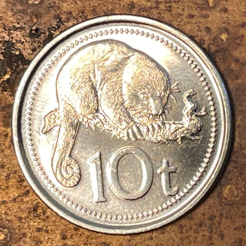 Common Spotted Cuscus & Bird of Paradise 10 Toea Papua New Guinea Authentic Coin Money for Jewelry and Craft Making