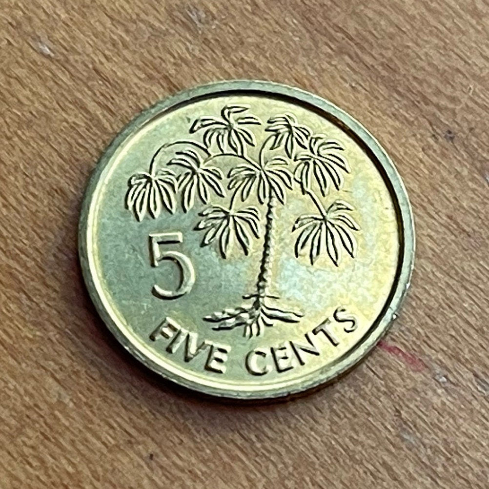 Cassava 5 Cents Seychelles Authentic Coin Money for Jewelry and Craft Making (Manioc)