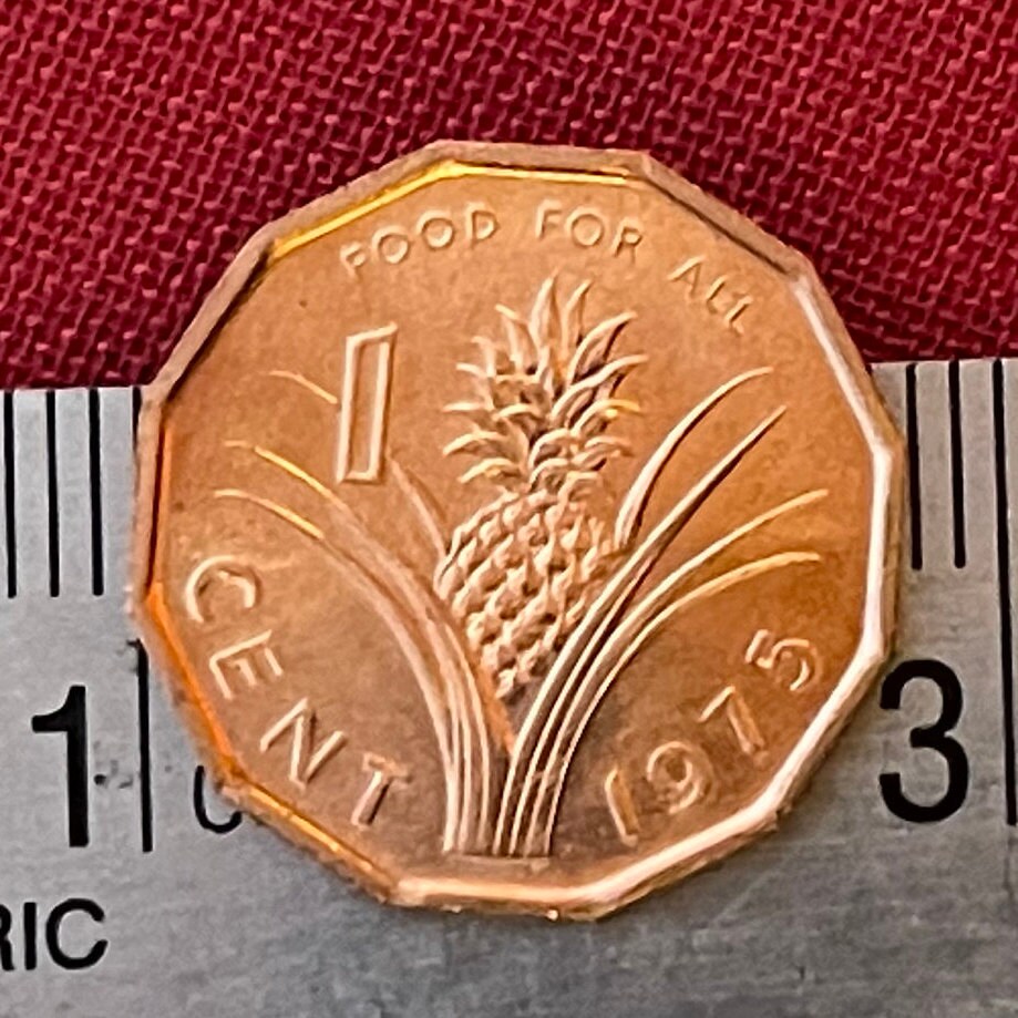 King Sobhuza & Pineapple 1 Cent Swaziland Authentic Coin Money for Jewelry (1975) (1000 Grandchildren) (Polygamy) (Dodecagonal) (Eswatini)