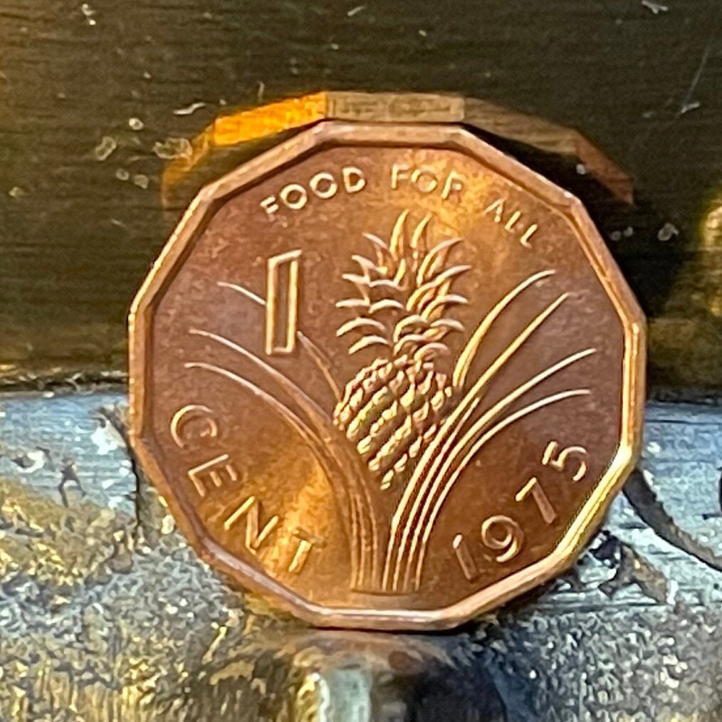 King Sobhuza & Pineapple 1 Cent Swaziland Authentic Coin Money for Jewelry (1975) (1000 Grandchildren) (Polygamy) (Dodecagonal) (Eswatini)