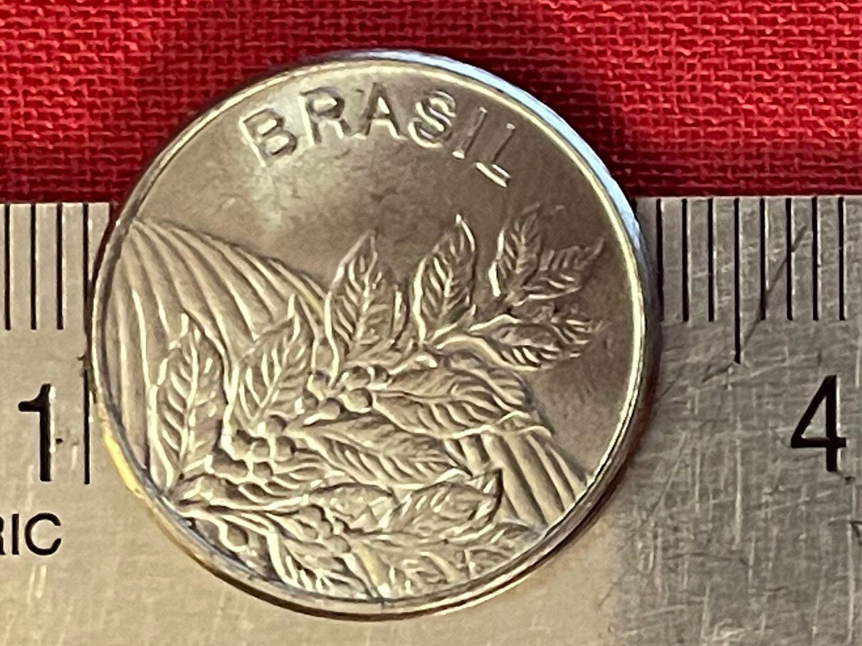 Coffee Beans 5 Crucieros Brazil Authentic Coin Money for Jewelry and Craft Making (Coffee Plant) (Plantation) (Java) (Coffee Addict)