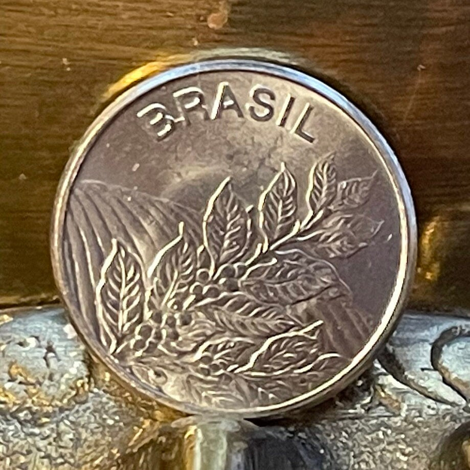 Coffee Beans 5 Crucieros Brazil Authentic Coin Money for Jewelry and Craft Making (Coffee Plant) (Plantation) (Java) (Coffee Addict)