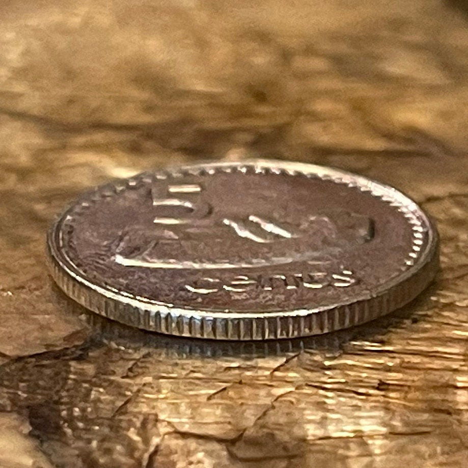 Lali Drum 5 Cents Fiji Authentic Coin Money for Jewelry and Craftmaking (Wooden Slit Drum)