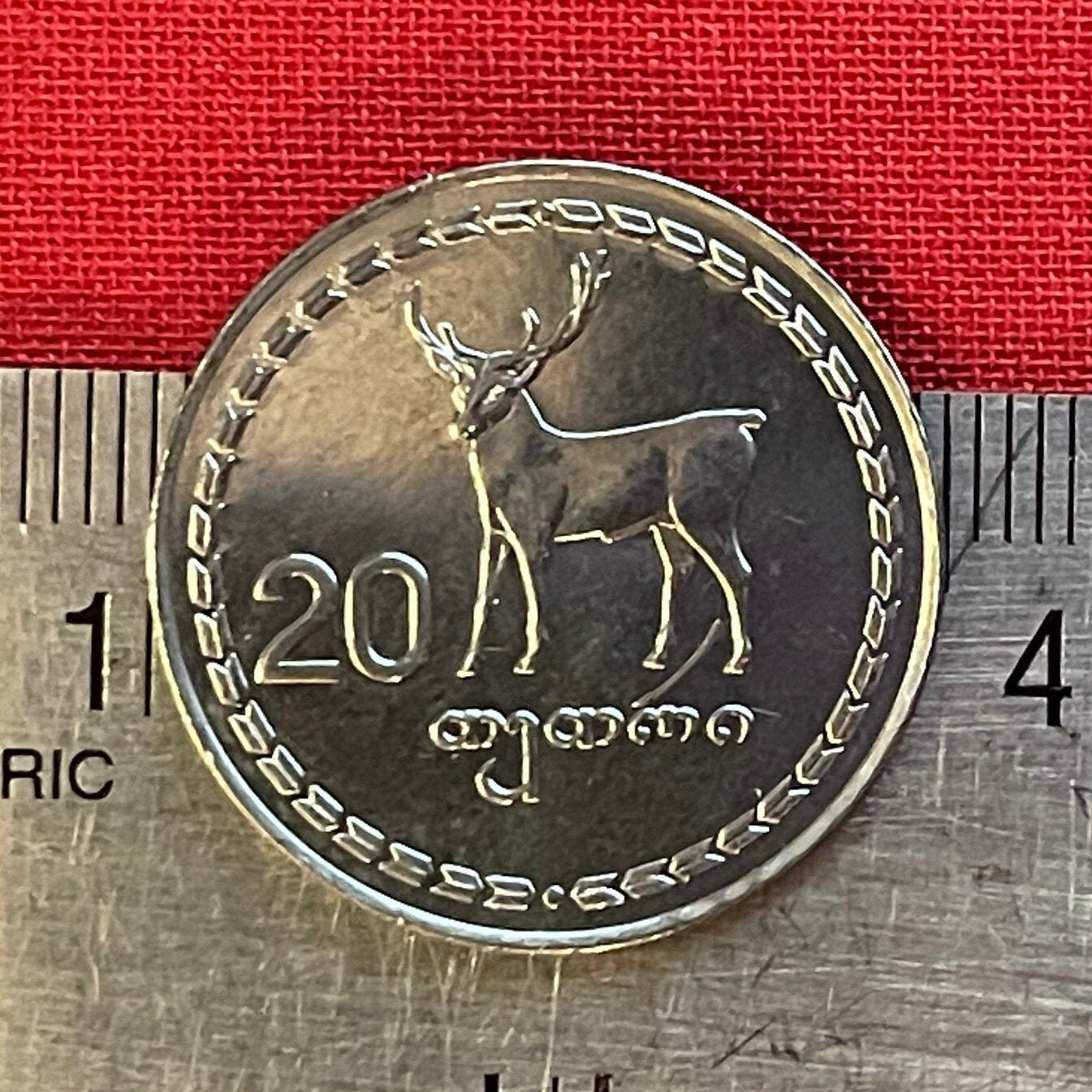 Red Deer & Borjgali 20 Tetri Georgia Authentic Coin Money for Jewelry and Craft Making (Tree of Life) (Niko Pirosmani Painting) (1993)