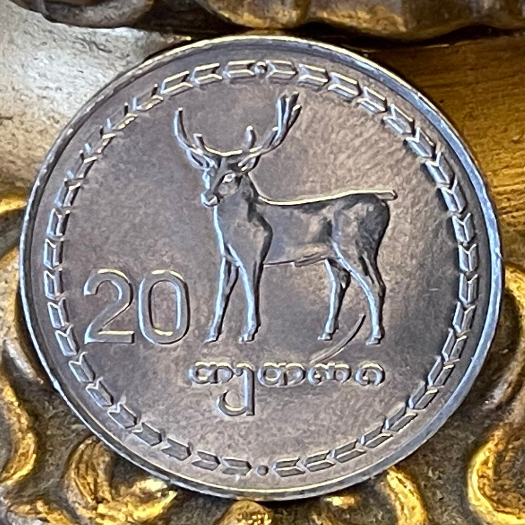 Red Deer & Borjgali 20 Tetri Georgia Authentic Coin Money for Jewelry and Craft Making (Tree of Life) (Niko Pirosmani Painting) (1993)