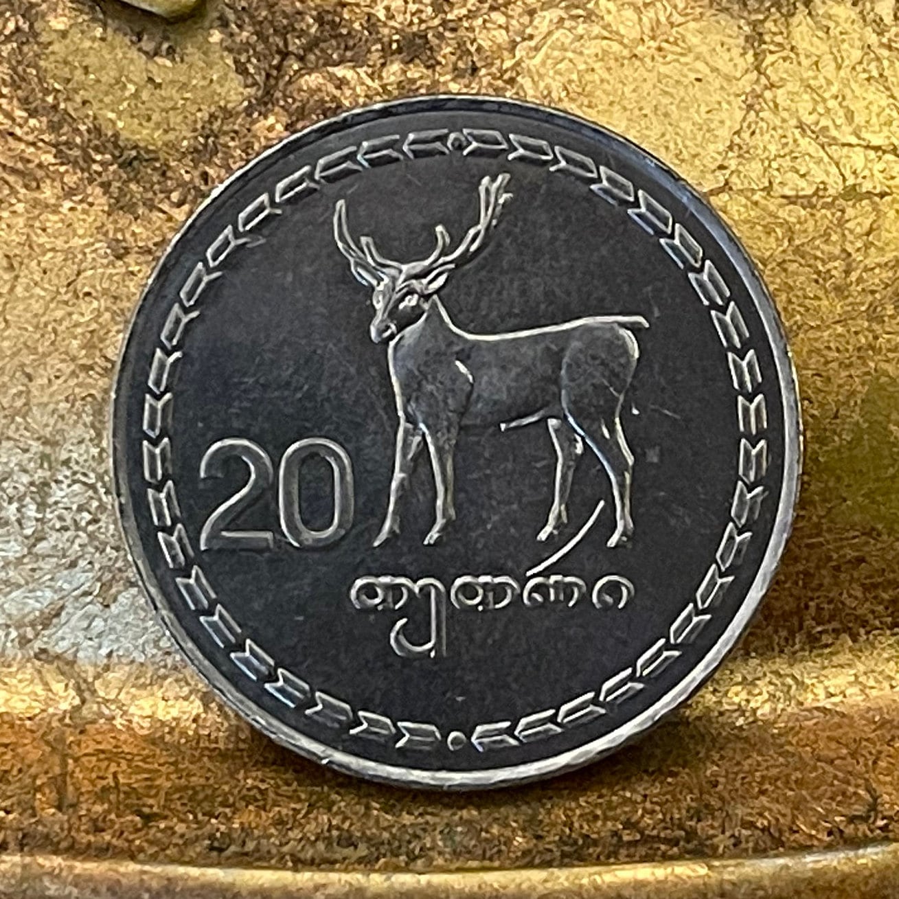 Red Deer & Borjgali 20 Tetri Georgia Authentic Coin Money for Jewelry and Craft Making (Tree of Life) (Niko Pirosmani Painting) (1993)