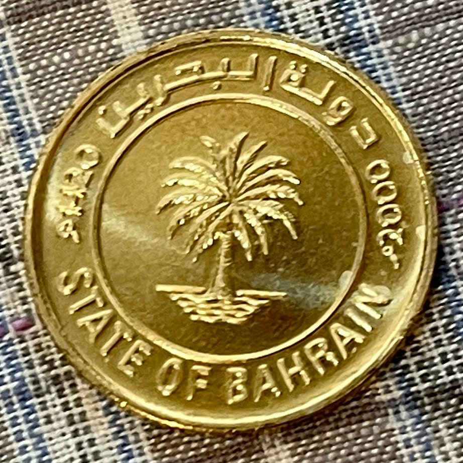 Garden of Eden Date Palm 10 Fils Bahrain Authentic Coin Money for Jewelry (Dilmun) (Paradise) (Adam and Eve) (Million Palms) (Creation)