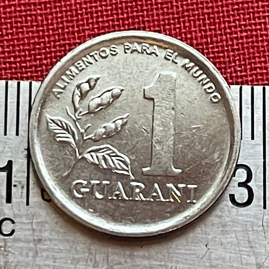 Soybeans & Soldier 1 Guarani Paraguay Authentic Coin Money for Jewelry and Craft Making (Food for the World) (FAO)