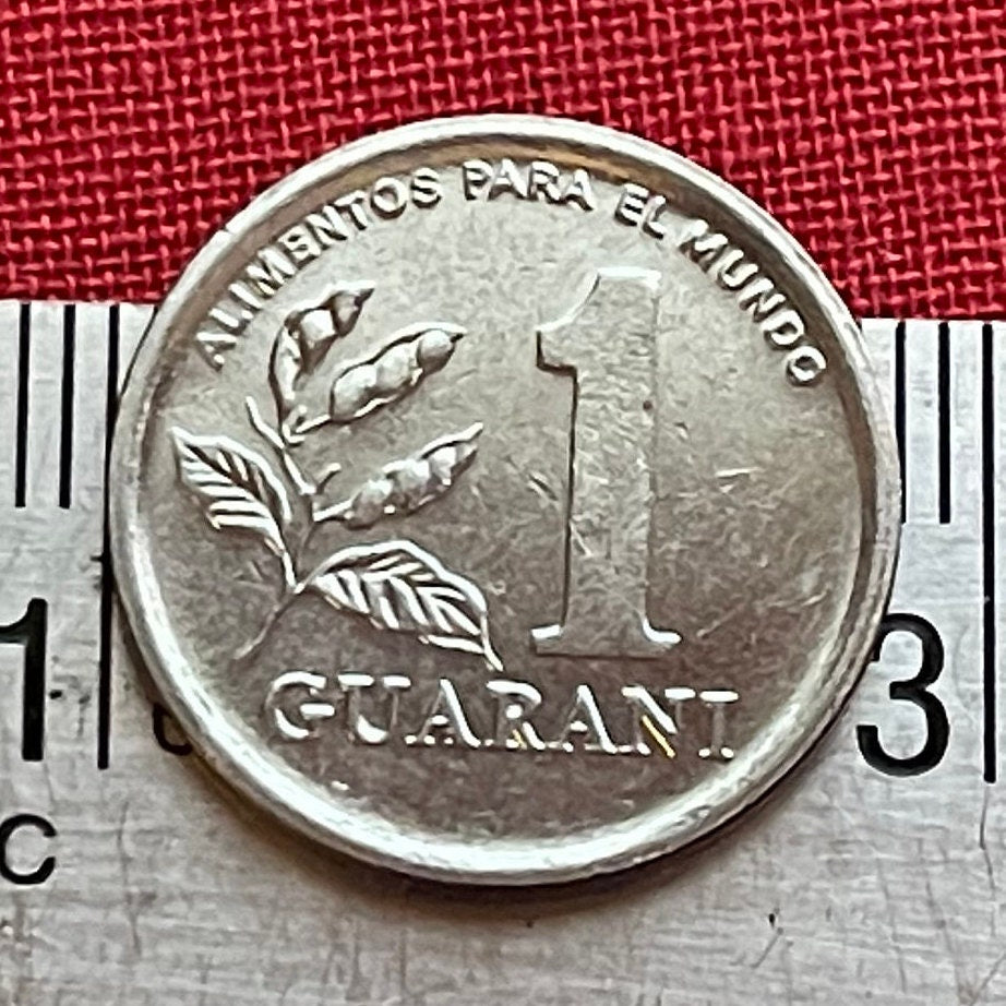 Soldier & Soybeans 1 Guarani Paraguay Authentic Coin Money for Jewelry and Craft Making (Food for the World) (FAO) (Rifle)