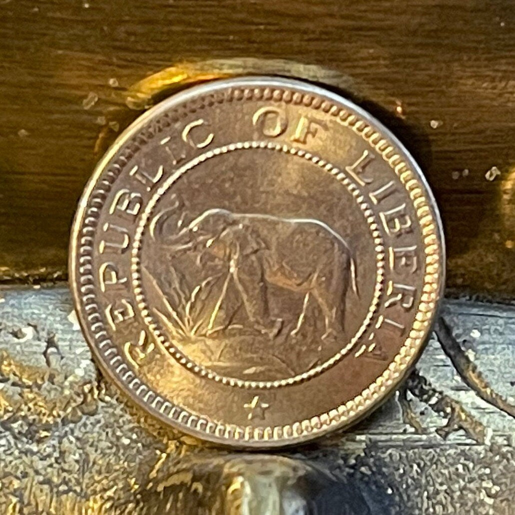 Forest Elephant & Palm Tree at Beach 1/2 Cent Liberia Authentic Coin Money for Jewelry and Craft Making (1941) (Freedom)