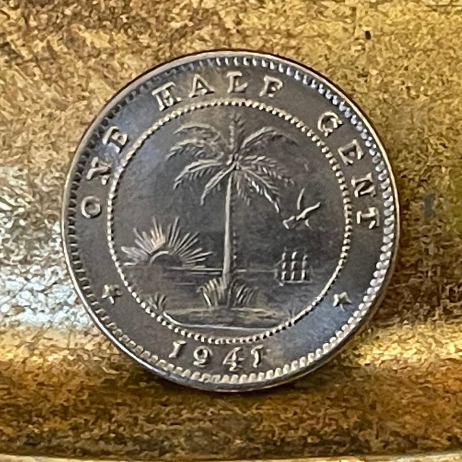 Forest Elephant & Palm Tree at Beach 1/2 Cent Liberia Authentic Coin Money for Jewelry and Craft Making (1941) (Freedom)
