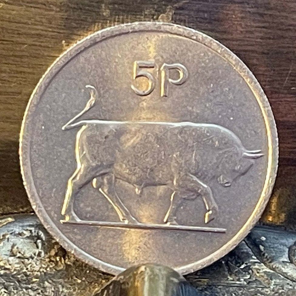 Brown Bull of Cooley & Harp 5 Pence Ireland Authentic Coin Money for Jewelry (Taurus) (Irish Bull) (Táin Bó Cúailnge) Cattle Raid of Cooley