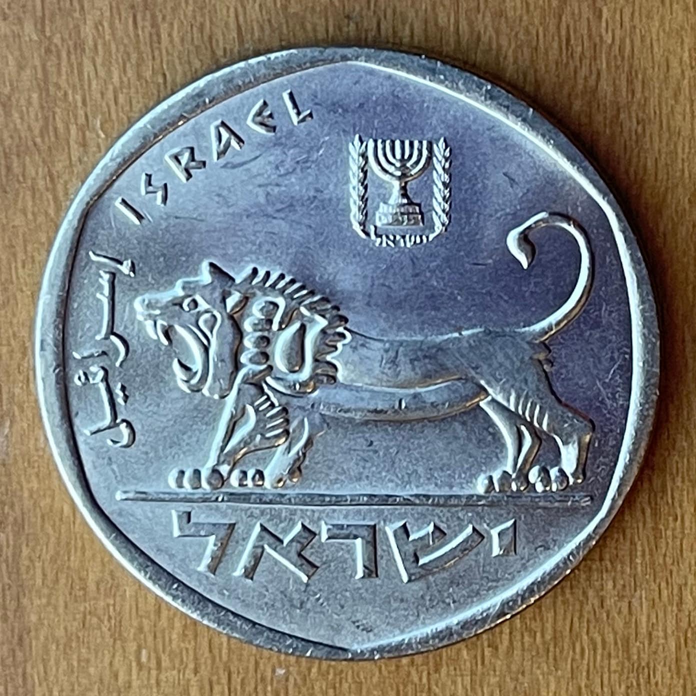 Seal of Shema Lion & Menorah 5 Lirot Israel Authentic Coin Money for Jewelry and Craft Making